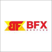 Logo BORFLEX