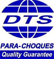 Logo DTS